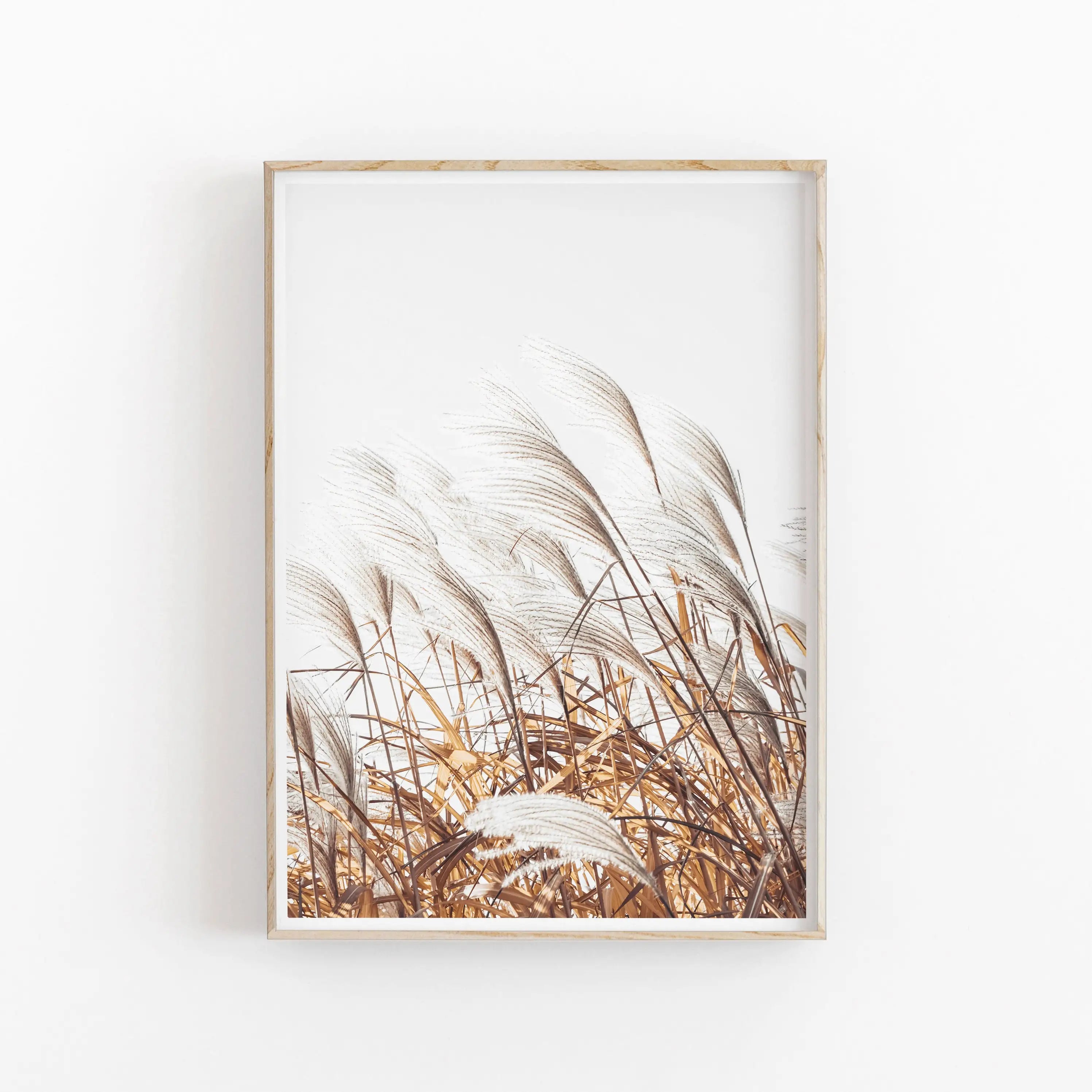 Framed artwork of reeds on a white background