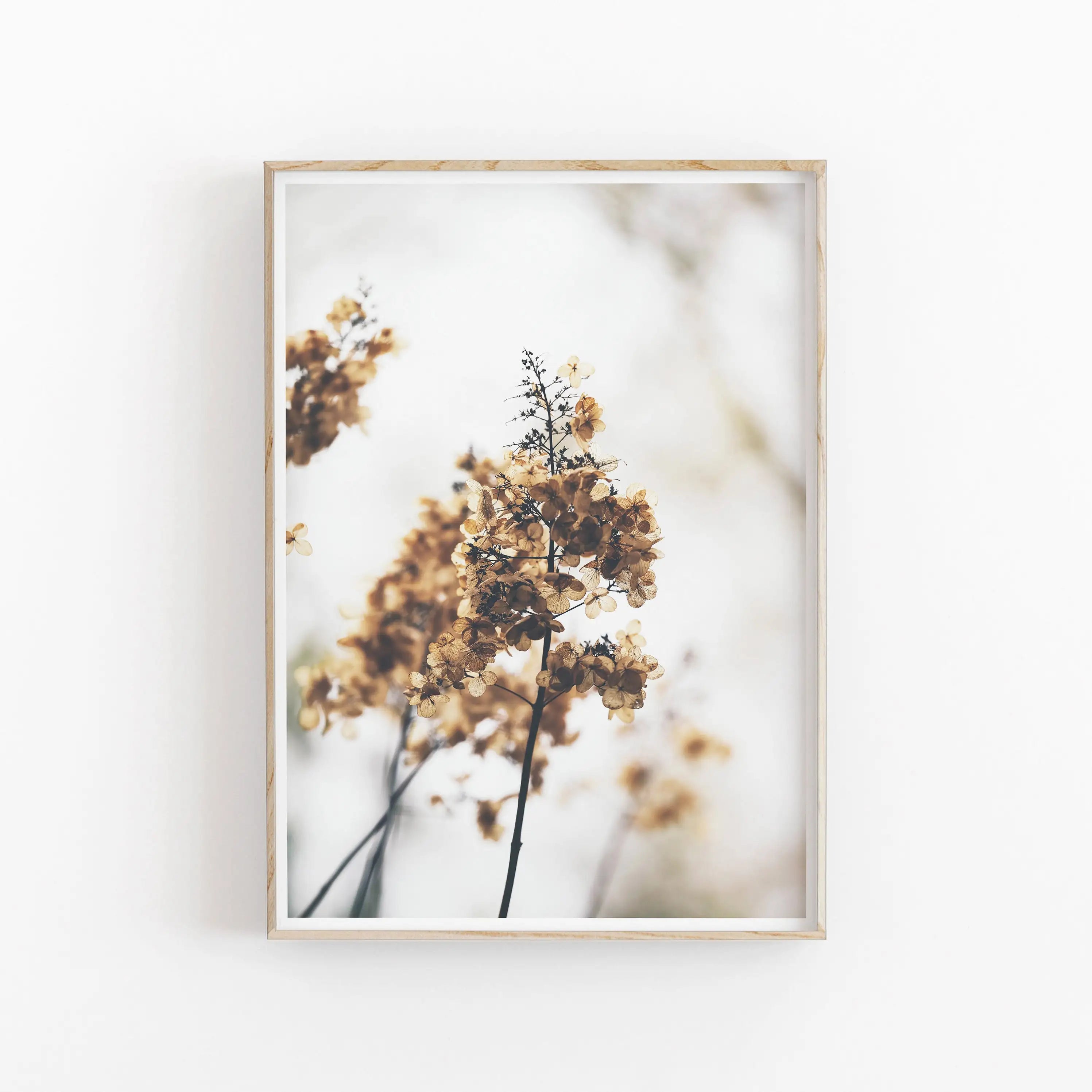 Framed artwork of dried flowers on a white background