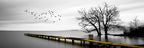 Tranquil Lake Pier Wide Format Wall Art Fine Canvas Prints Black White Pictures Of Calm For Above The Sofa Picture For Above The Bed