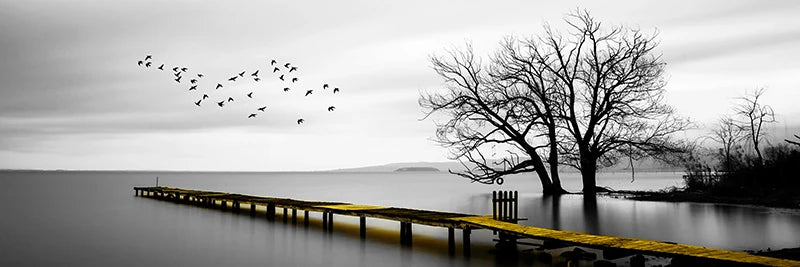 Tranquil Lake Pier Wide Format Wall Art Fine Canvas Prints Black White Pictures Of Calm For Above The Sofa Picture For Above The Bed