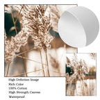 White spherical object with reeds in the background, featuring text about product qualities.