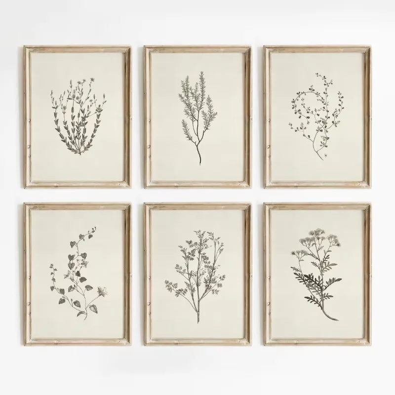 Vintage Botanical Illustration Wall Art – Minimalist Black‑Ink Plant Specimen Canvas Prints for Modern Kitchen, Living Room Gallery Wall