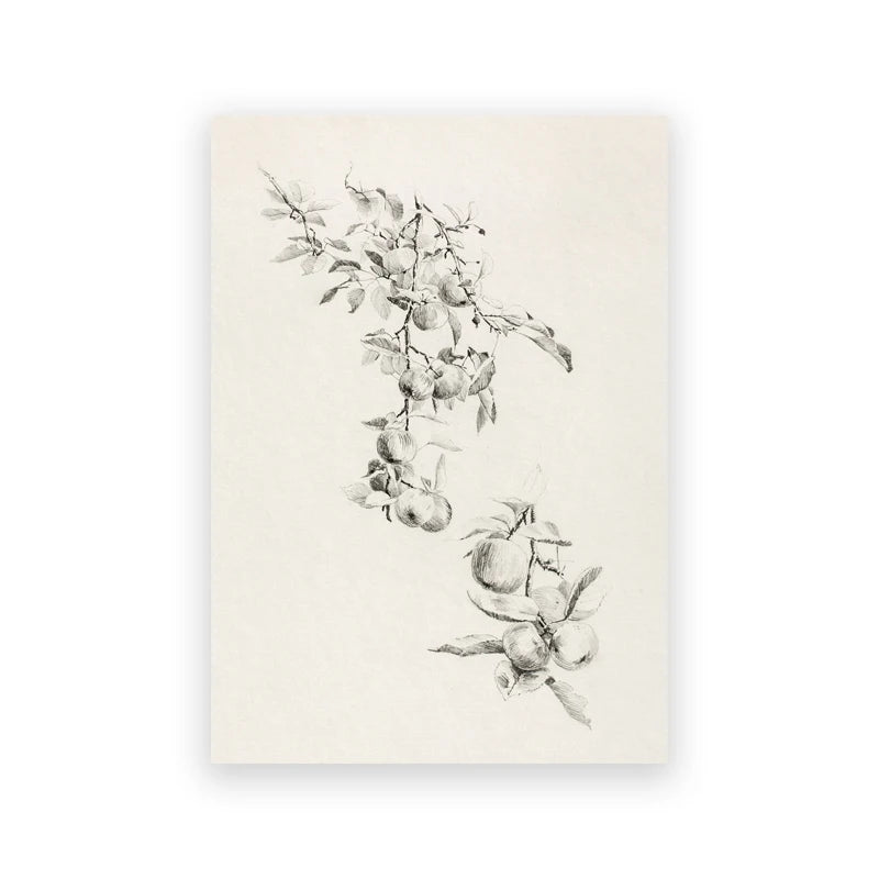 Vintage Neutral Landscape & Botanical Sketch Canvas Wall Art – Individual Unframed Fine Art Canvas Prints Featuring Mountains, Countryside Scenery, Architecture & Nature Illustrations
