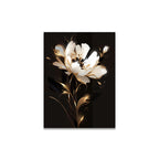 White Petal Flowers Wall Art Fine Art Canvas Prints Modern Botany Floral Pictures For Living Room Bedroom Hotel Room Art Decor 2024