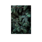 Wilderness Landscape Mountain Lake Forest Wall Art Fine Art Canvas Prints Pictures Of Calm For Living Room Dining Room Art Decor