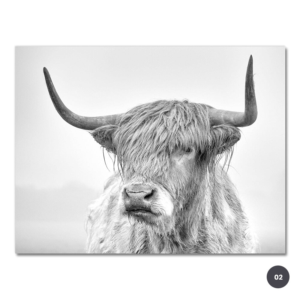 Black & White Highland Cattle Wall Art Fine Mountain Yak Bison Pictures For Living Room Dining Room Home Office Scandinavian Interior Decor