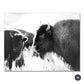 Black & White Highland Cattle Wall Art Fine Mountain Yak Bison Pictures For Living Room Dining Room Home Office Scandinavian Interior Decor