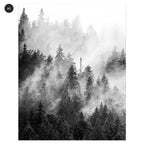 Black & White Misty Wilderness Forest Wall Art Fine Art Canvas Prints Minimalist Nordic Landscape Pictures For Living Room Scandinavian Interior Decor