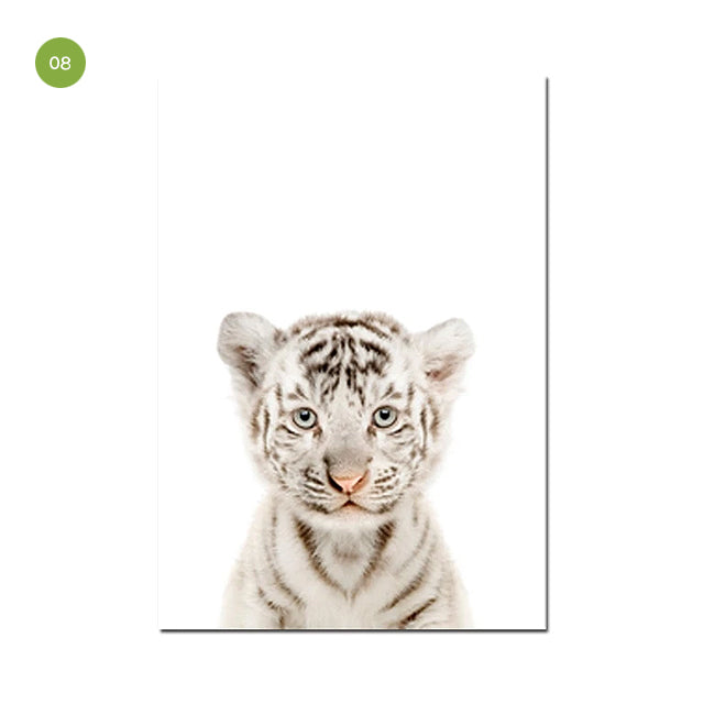 Cute Baby White Tiger Nursery Art
