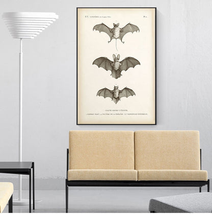 Vintage Vampire Bat Wall Art Fine Art Canvas Print Halloween Poster Antique Sepia Picture For Living Room Dining Room Home Office Decor