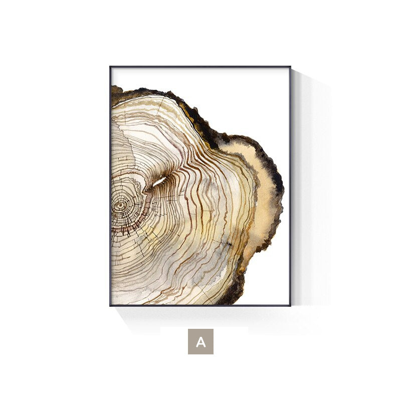 Minimalist Nordic Tree Rings Watercolor Wall Art Fine Art Canvas Prints White Brown Beige Pictures For Living Room Dining Room Decor
