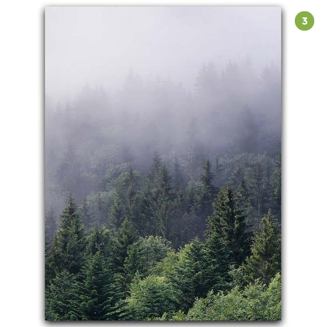 Misty Forest Landscape Wall Art Tranquil Nature Green Wilderness Fine Art Canvas Prints Pictures For Living Room Modern Home Interior Decor