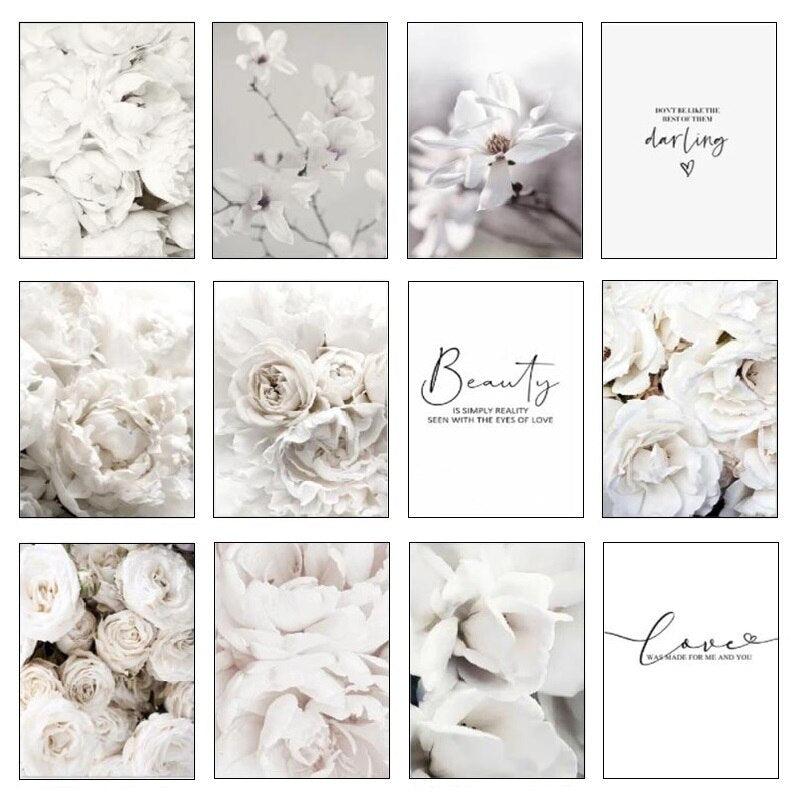 Simple Floral White Rose Peonies Wall Art Fine Art Canvas Prints Black White Botanical Pictures For Living Room Modern Interiors Home Decor