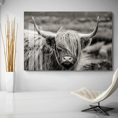 Scottish Highland Cattle Black And White Animal Wall Art Fine Art Canvas Giclee Print Modern Pictures For Office Interior Living Room Dining Room Home Decor