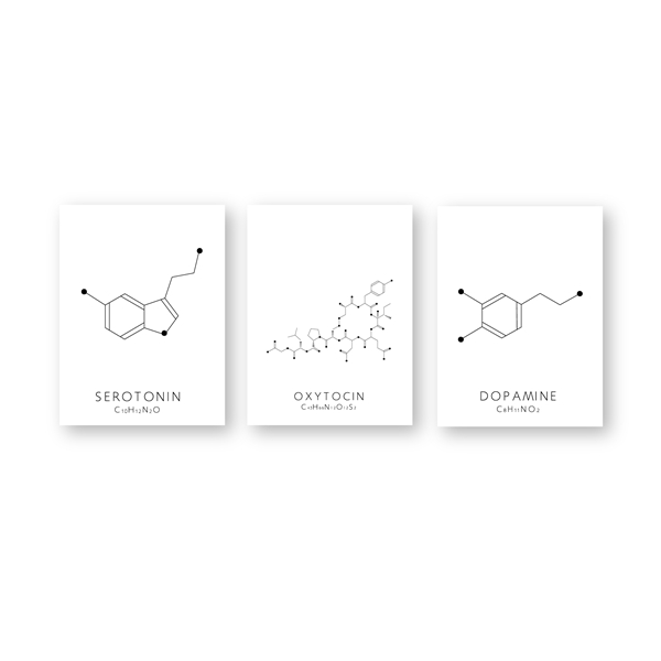 Molecular Biology Happy Hormones Wall Art Fine Art Canvas Prints Minimalist Biochemistry Posters Promoting Happiness Pleasure Relaxation