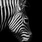 Black & White Wild Animals Wall Art Minimalist Nordic Style Fine Art Canvas Prints Modern Pictures Of Nature For Living Room Bedroom Home Office Decor