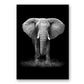 Black & White Wild Animals Wall Art Minimalist Nordic Style Fine Art Canvas Prints Modern Pictures Of Nature For Living Room Bedroom Home Office Decor