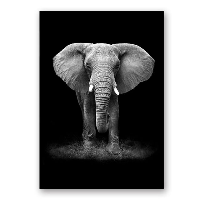 Black & White Wild Animals Wall Art Minimalist Nordic Style Fine Art Canvas Prints Modern Pictures Of Nature For Living Room Bedroom Home Office Decor