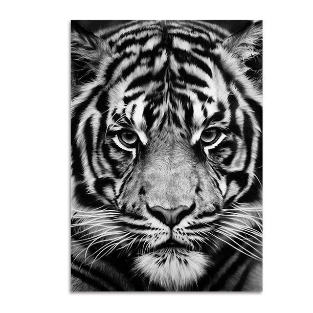 Black & White Wild Animals Wall Art Minimalist Nordic Style Fine Art Canvas Prints Modern Pictures Of Nature For Living Room Bedroom Home Office Decor