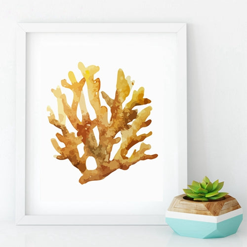 Beautiful Colorful Coral Specimens Subtle Abstract Wall Art Marine Life Fine Art Canvas Prints Paintings For Bathroom Nordic Style Interior Decor