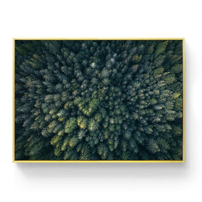 Forest View From Above Green Trees Wilderness Wall Art Fine Art Canvas Prints Modern Abstract Beauty Of Nature Pictures For Home Office Wall Art Decor