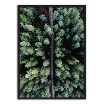 You Are Wonderful Green Leaves Forest View Nordic Wall Art Posters Fine Art Canvas Prints Pictures For Office or Living Room Interior Decor