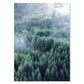 Nordic Woodland Mountain Glade Wilderness Wall Art Pictures Of Calm Fine Art Canvas Prints Modern Landscape Pictures For Home Office Wall Art Decor